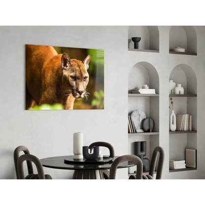 Stunning cougar canvas wall art with piercing golden eyes on white wall