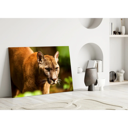 Stunning Cougar Canvas Wall Art with Piercing Golden Eyes | Modern Wall Art Decor | vintageantiquesgifts.com