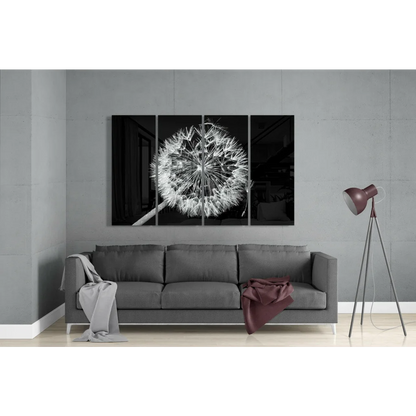 Black-and-white dandelion seed head glass wall art triptych