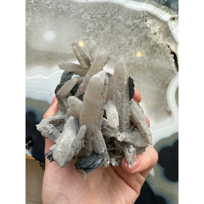 Hand holding stunning dogtooth calcite with mica flakes and quartz inclusions