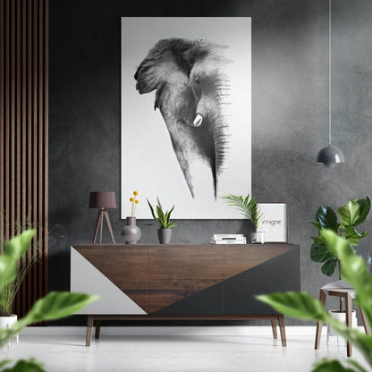 Striking black-and-white elephant head sketch on brushed aluminium dibond panel