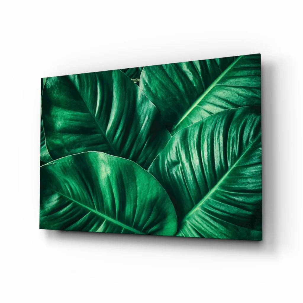 Vibrant emerald green tropical leaf glass wall art print