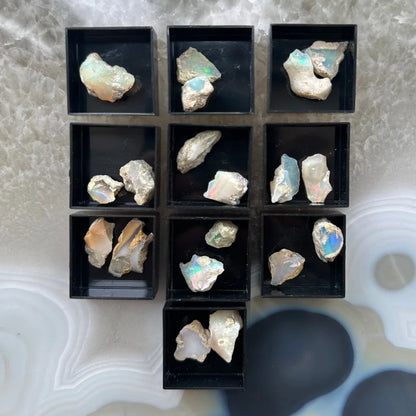 Nine raw iridescent Welo opal stones in acrylic perky box