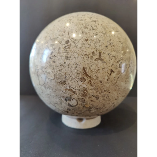 Stunning fossil coral sphere with display stand from Pakistan