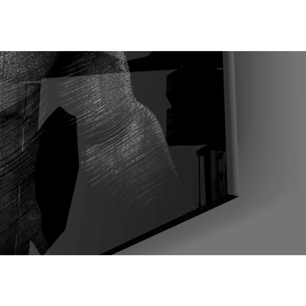 Stunning black and white geometric deer glass wall art with cracked texture