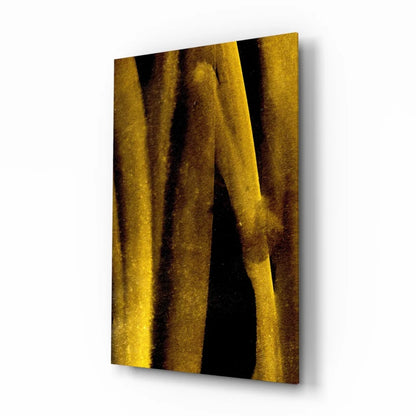 Golden velvet curtain glass wall art with dramatic black shadows
