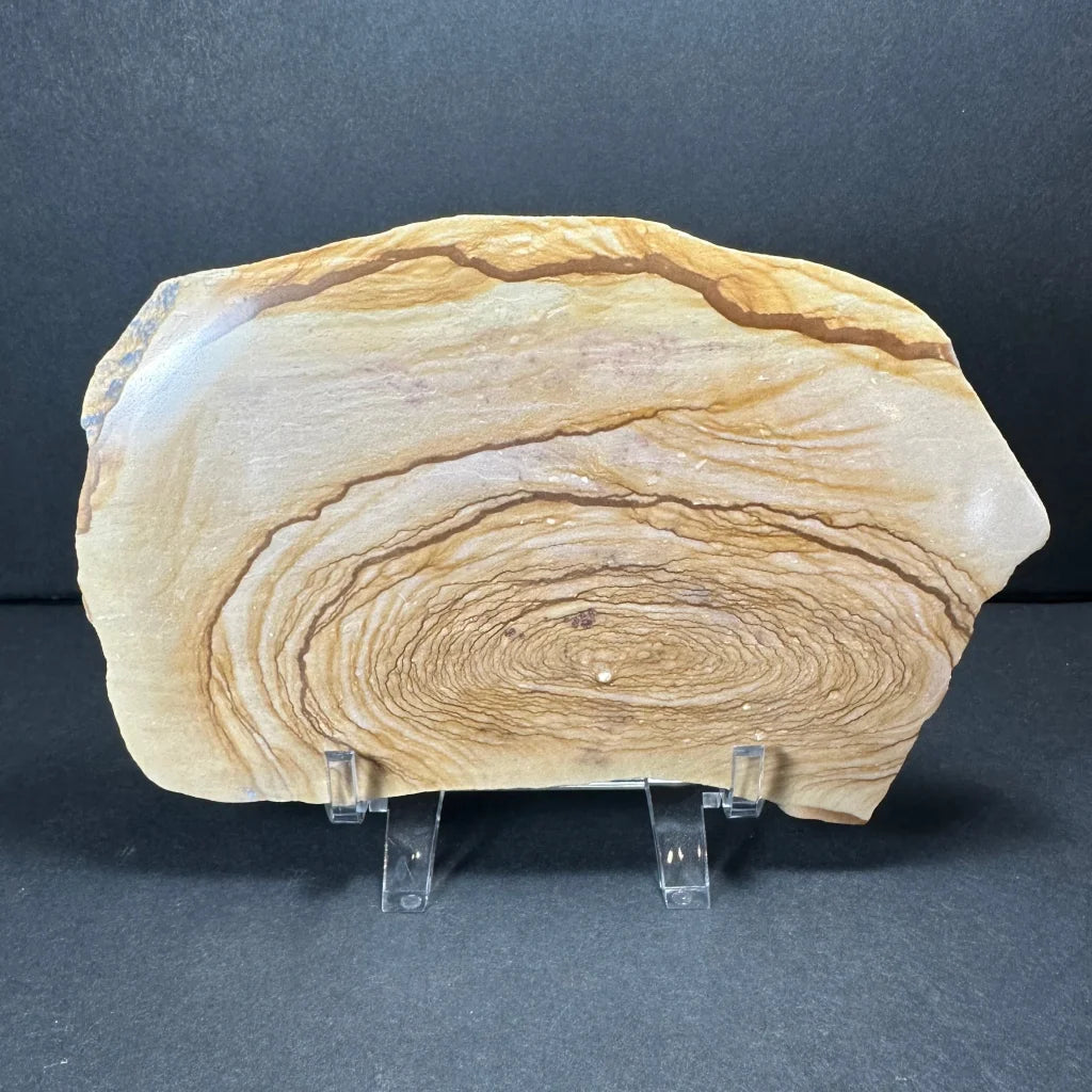 Stunning Moroccan picture jasper plate with natural wood grain rings