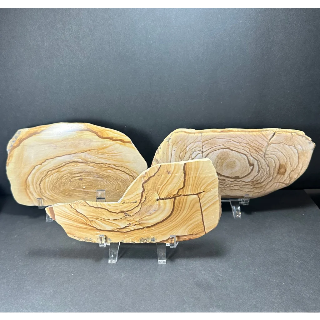Stunning picture jasper plate on natural wood slices with ring patterns