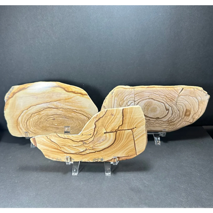 Stunning picture jasper plate on natural wood slices with ring patterns