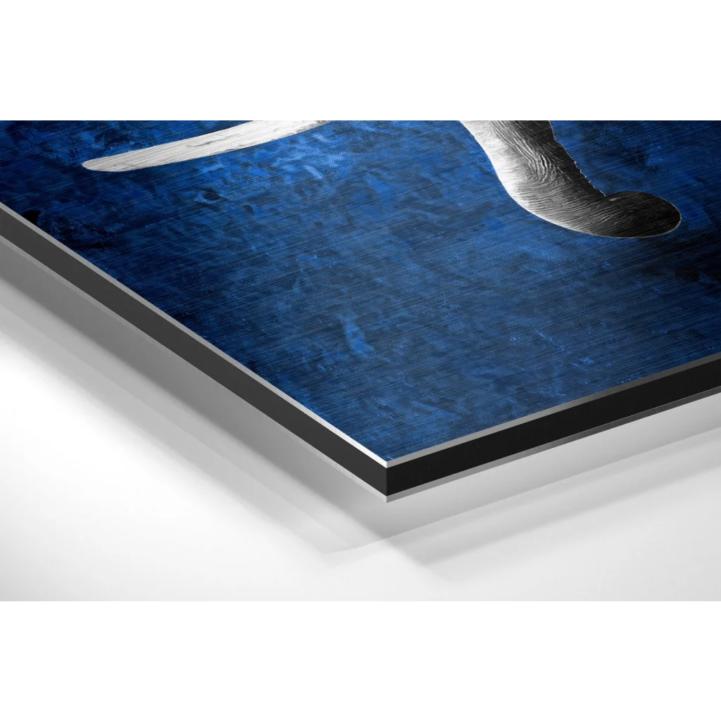 Glass Wall Art Stunning blue dolphin print on brushed aluminium dibond with black border