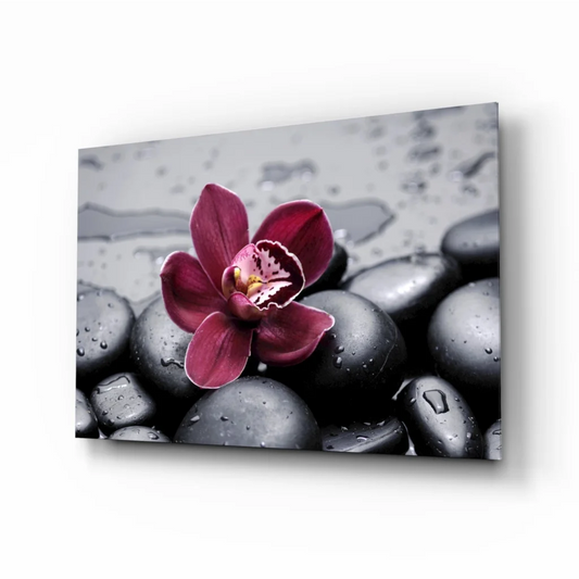 Stunning purple orchid on black stones glass wall art