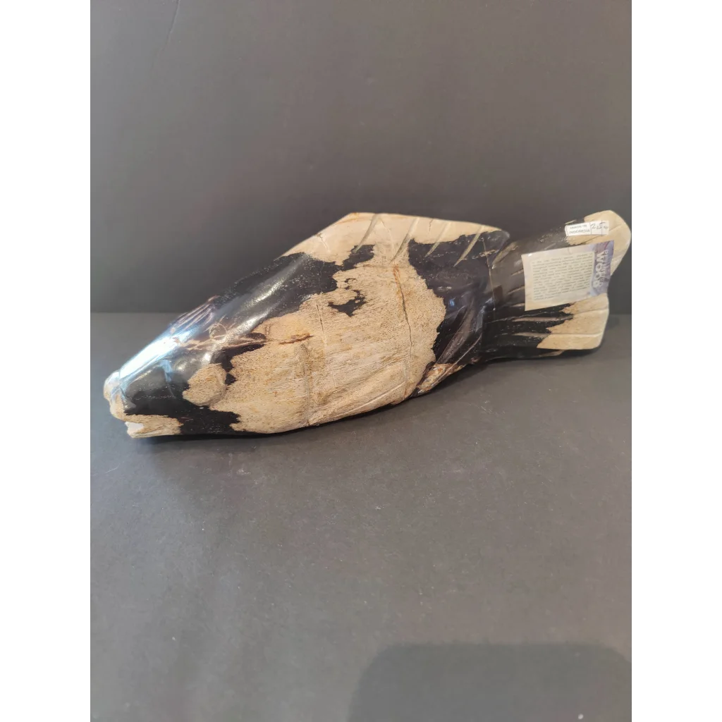 Polished black and cream petrified wood fish sculpture with textured surface