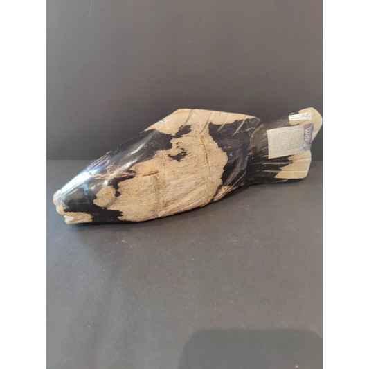 Polished black and cream petrified wood fish sculpture with textured surface
