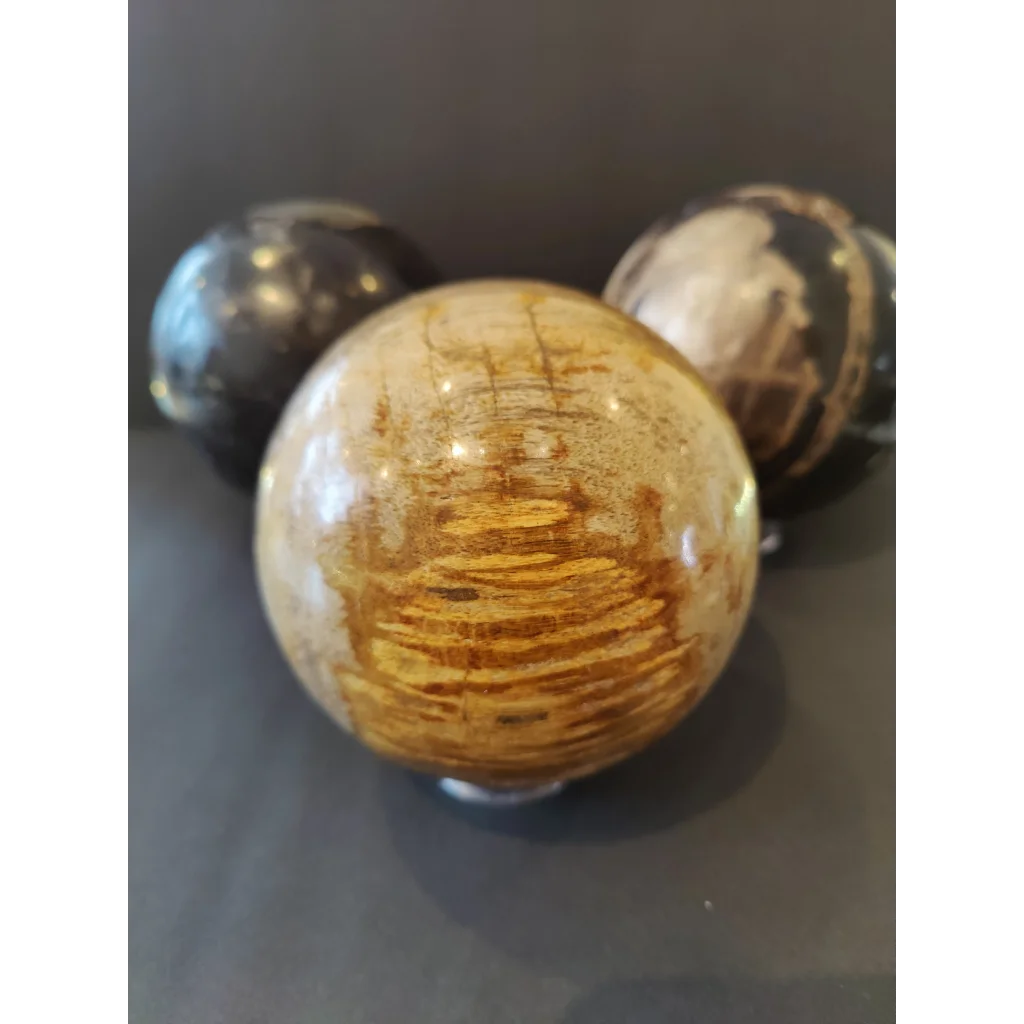 Polished amber petrified wood sphere with golden-brown striations