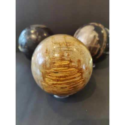 Polished amber petrified wood sphere with golden-brown striations