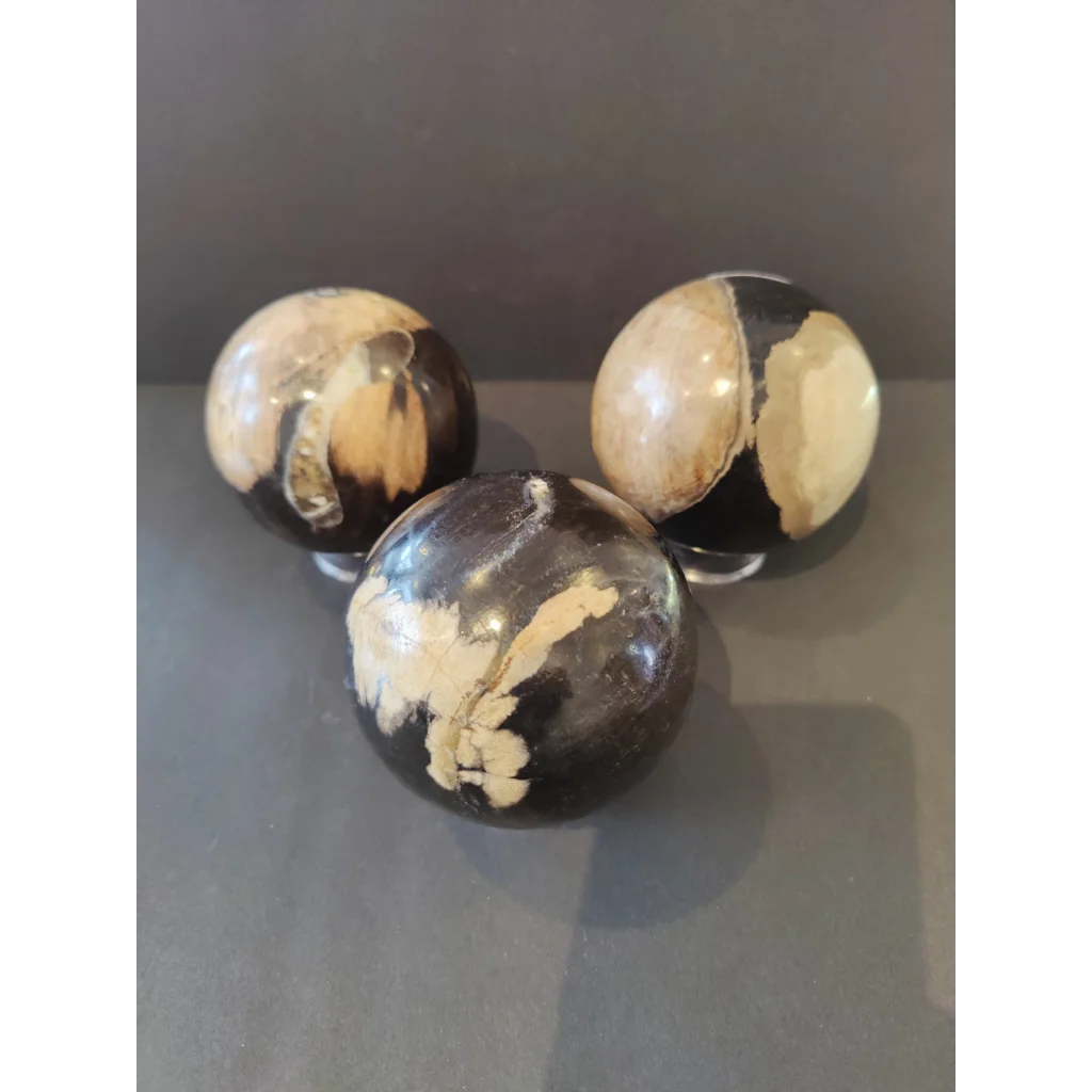 Three marbled black and cream agate petrified wood spheres