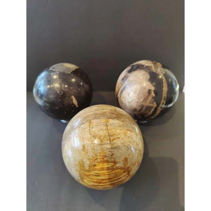 Three stunning petrified wood spheres in earthy tones for home decor