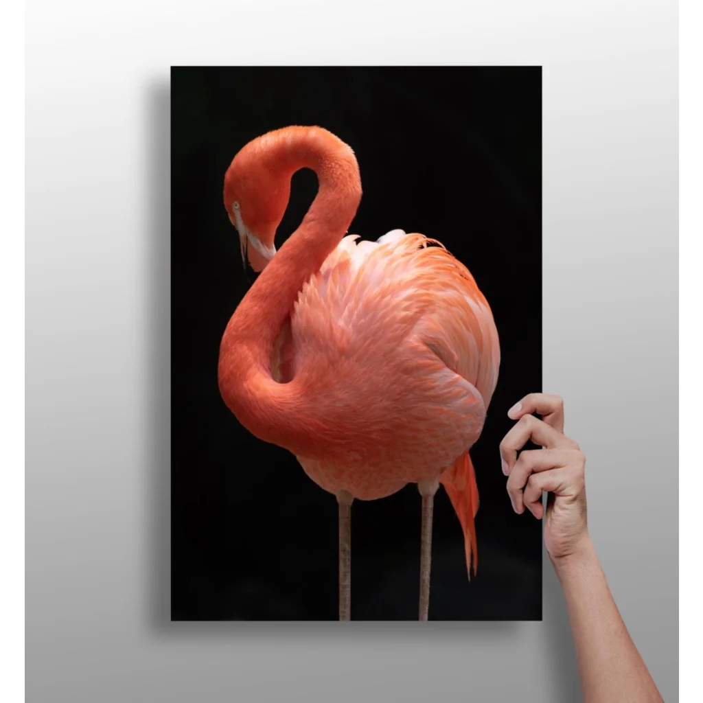 Vibrant pink flamingo on sleek black aluminum wall art
