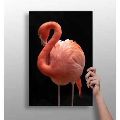 Vibrant pink flamingo on sleek black aluminum wall art