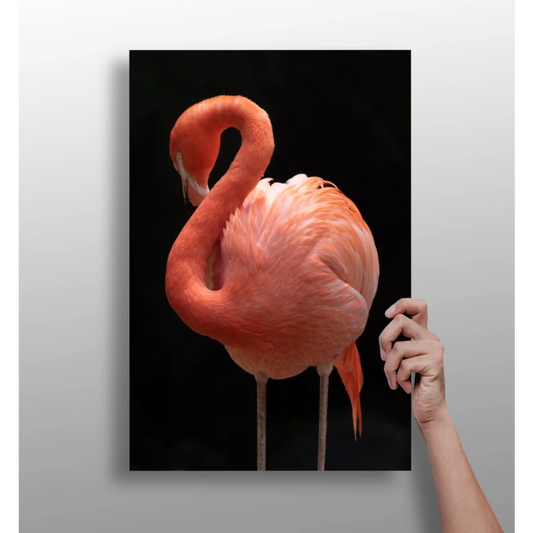 Vibrant pink flamingo on sleek black aluminum wall art