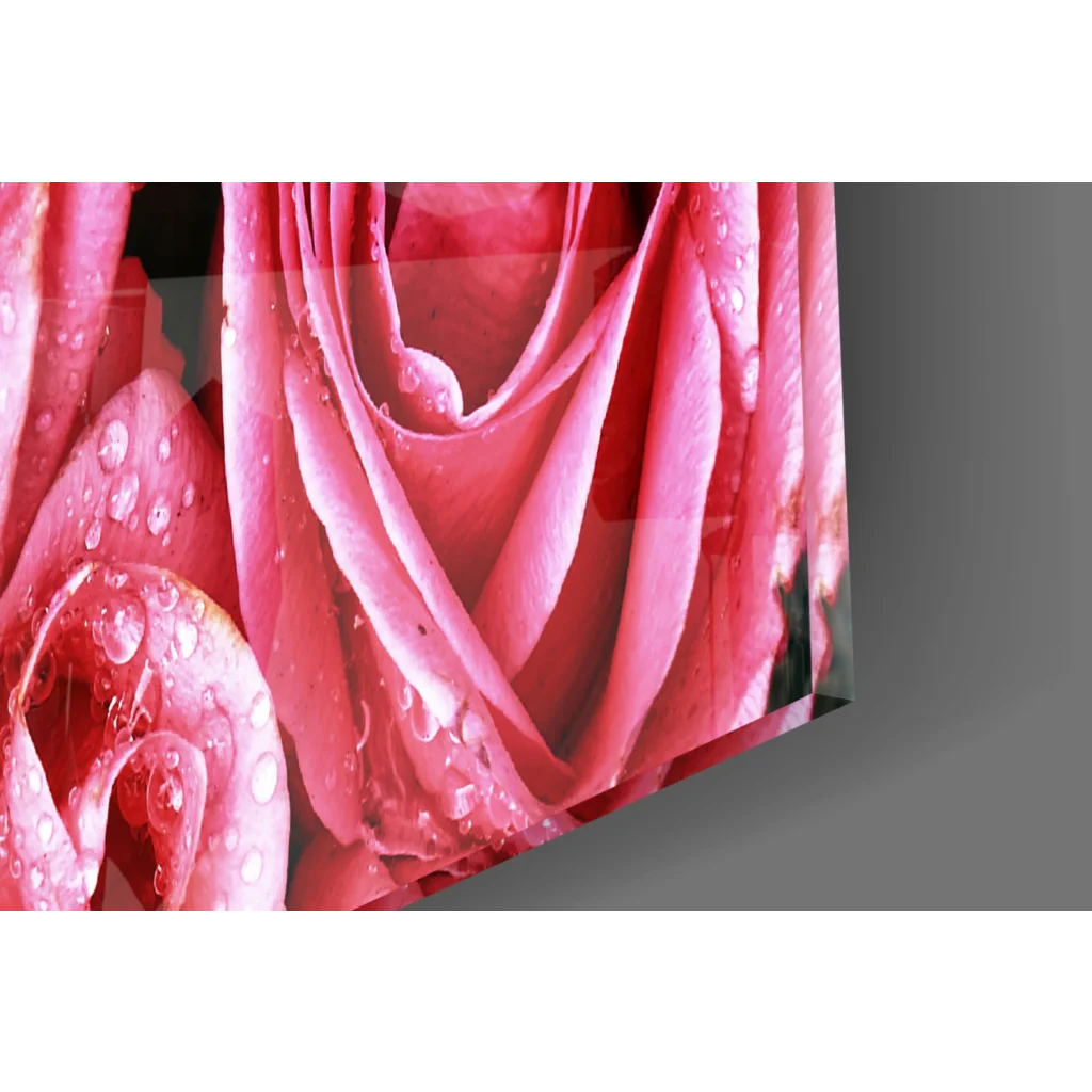 Stunning pink rose glass wall art with shimmering water drops