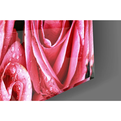 Stunning pink rose glass wall art with shimmering water drops