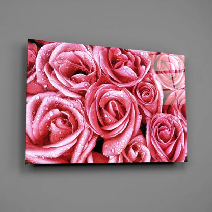 Stunning pink rose glass wall art with shimmering water drops