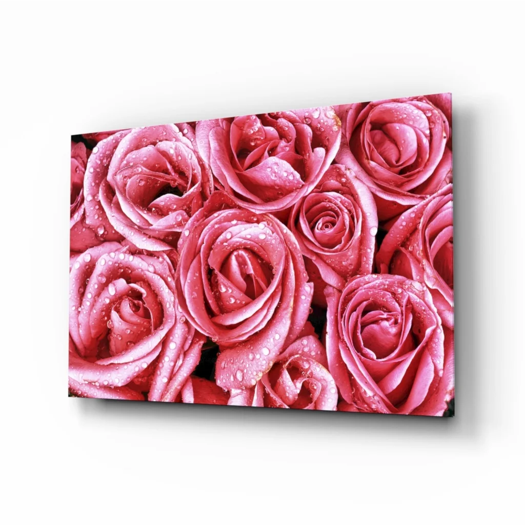 Stunning pink rose glass wall art with shimmering water drops