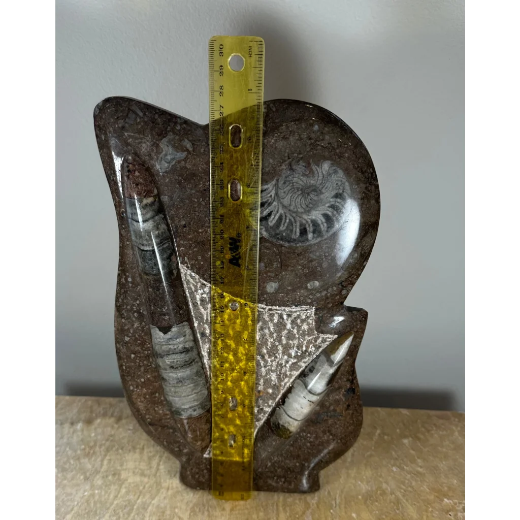 Brown stone owl sculpture with ammonite fossils matrix from Morocco