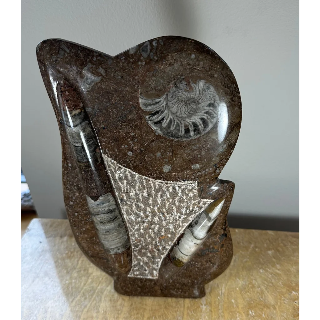 Stunning polished ammonite fossils matrix sculpture from Morocco