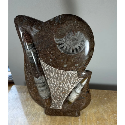 Stunning polished ammonite fossils matrix sculpture from Morocco