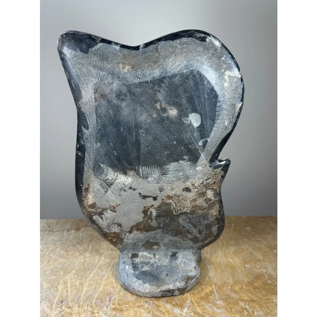 Stylized cat head ammonite fossils matrix sculpture from Morocco