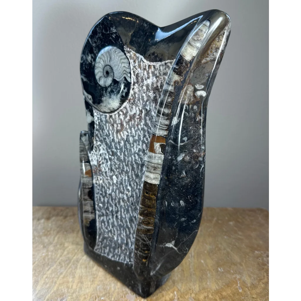 Polished black and white ammonite fossils matrix sculpture from Morocco