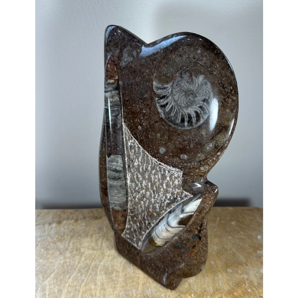 Polished brown ammonite fossils matrix sculpture from Morocco