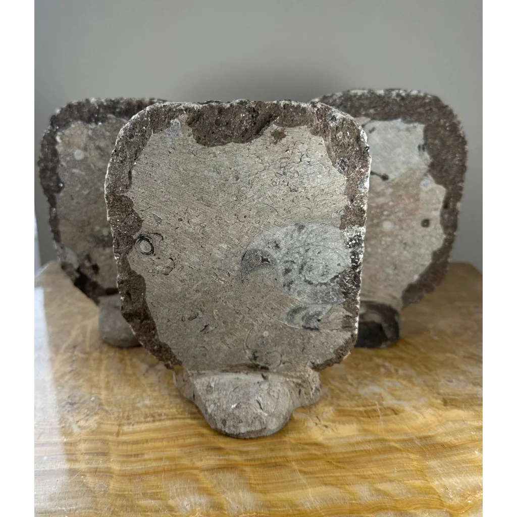 Gray stone bookends with weathered ammonite fossils matrix sculpture