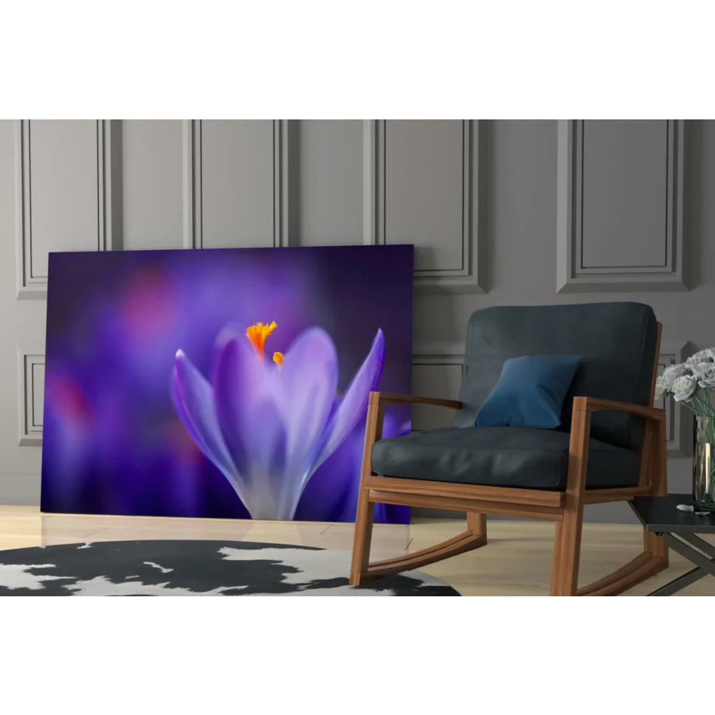 Stunning purple crocus flower canvas wall art with orange center on wall