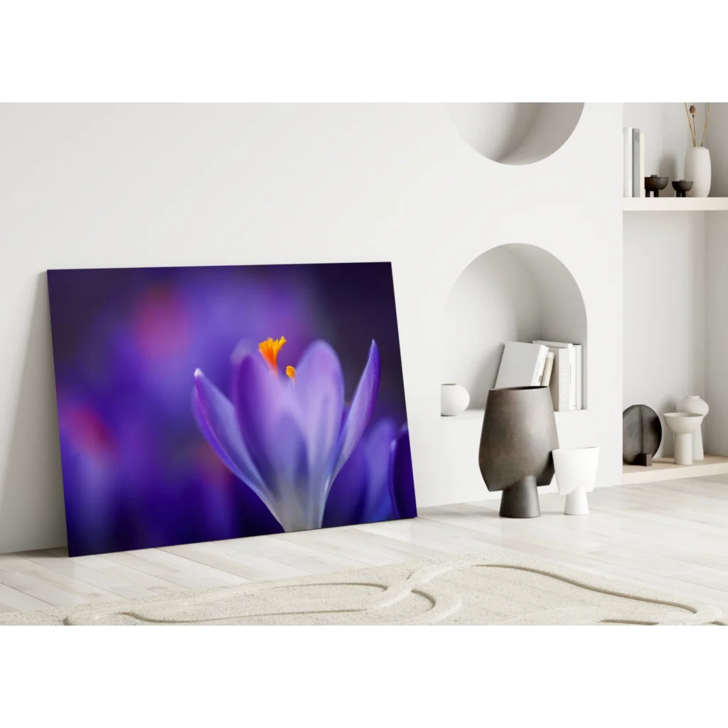 Vibrant purple crocus flower canvas wall art print