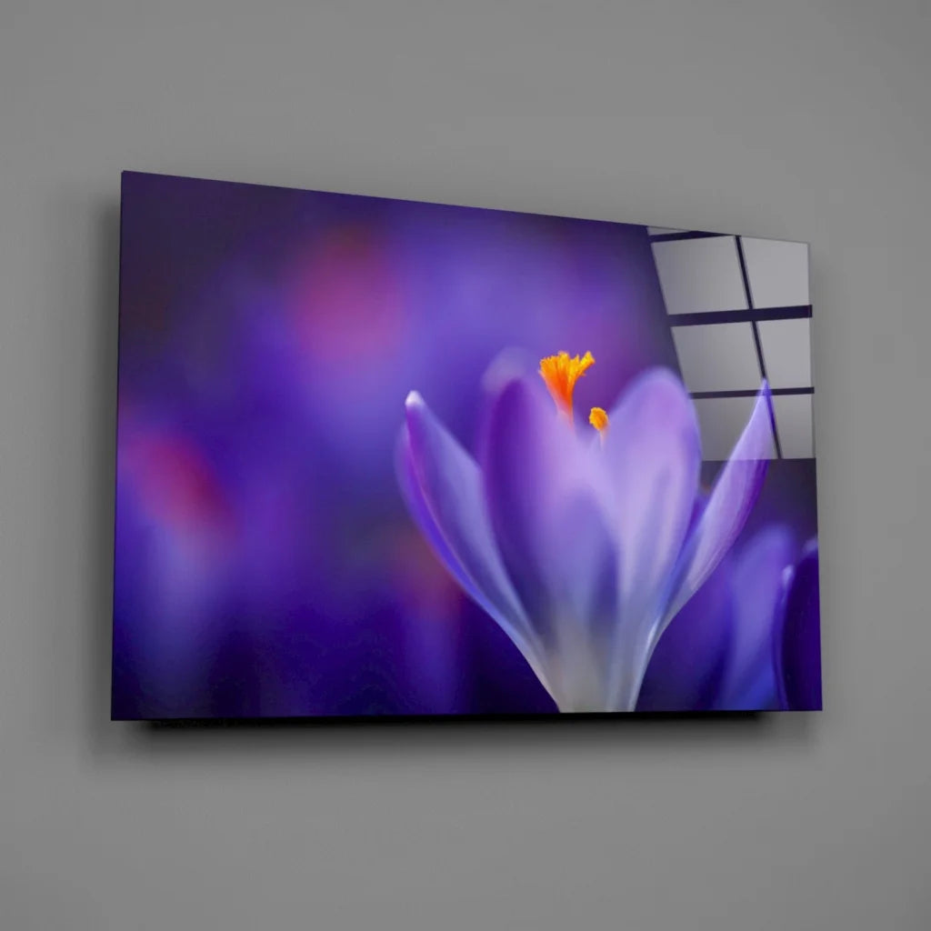 Vibrant purple crocus flower canvas wall art print with orange stamen