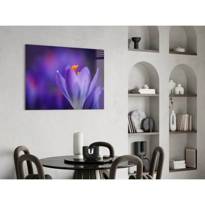 Stunning purple crocus flower canvas wall art print on wall