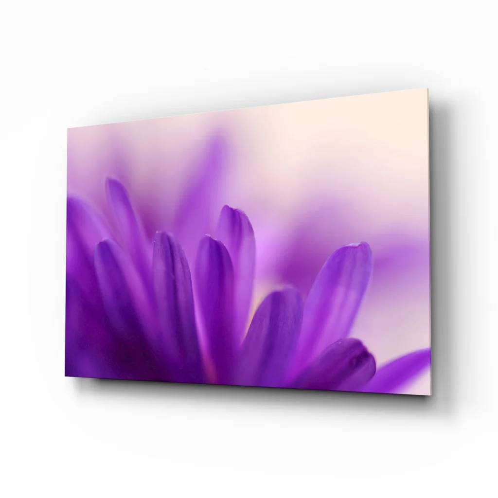 Stunning purple floral wall art canvas print with soft petals