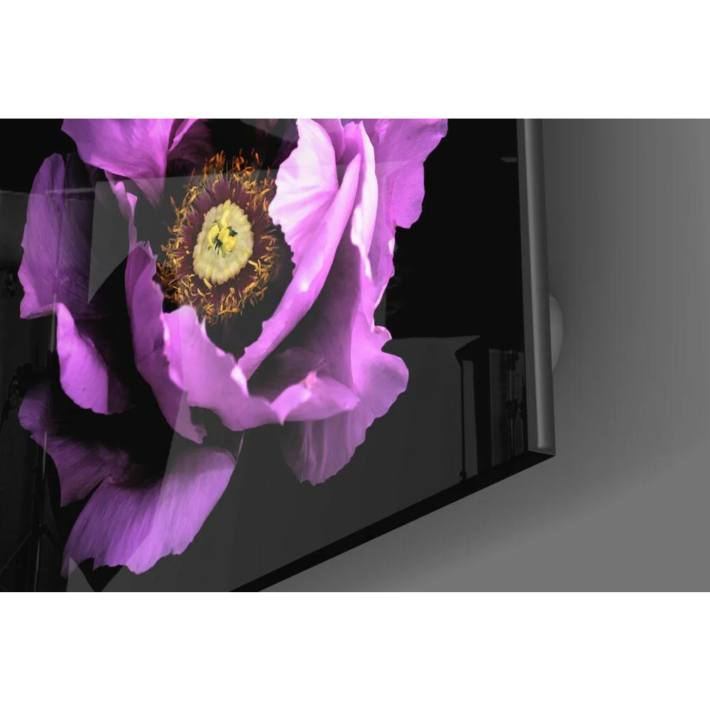 Vibrant purple peony glass wall art panel with yellow center on black frame