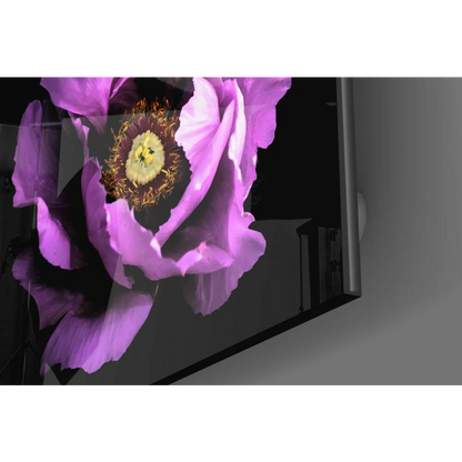 Vibrant purple peony glass wall art panel with yellow center on black frame