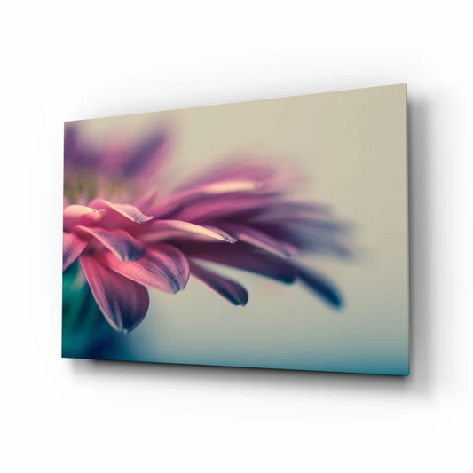 Stunning purple pink flower glass wall art canvas print close-up