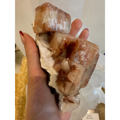 Hand holding stunning red apophyllite crystal cluster from Pune India