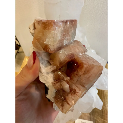 Hand holding stunning red apophyllite crystal cluster from Pune, India