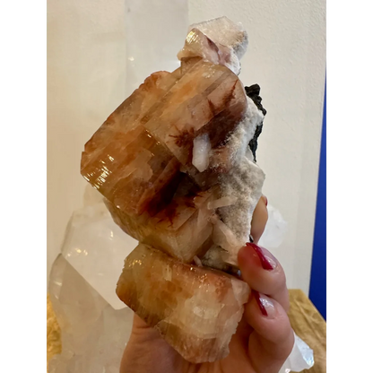 Hand holding stunning red apophyllite crystal cluster from Pune, India