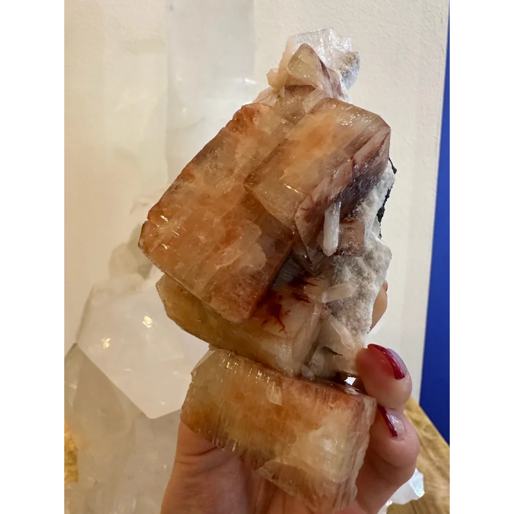 Hand holding stunning red apophyllite crystal cluster from Pune, India