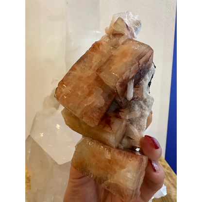 Hand holding stunning red apophyllite crystal cluster from Pune, India
