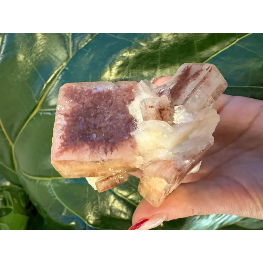 Hand holding stunning red apophyllite cube from India with purple streaks