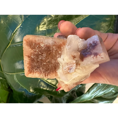 Hand holding stunning red apophyllite cube from India with purple streaks